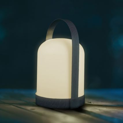LED RGBW decoratieve tafellamp MINORKA LED/0,3W/4,5V 3xAA