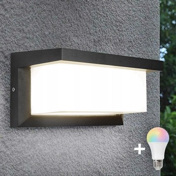 LED RGBW dimbare buitenwandlamp NEELY 1xE27/12W/230V 2700-6500K IP54 Wi‑Fi antraciet