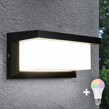 LED RGBW dimbare buitenwandlamp NEELY 1xE27/12W/230V 2700-6500K IP54 zwart
