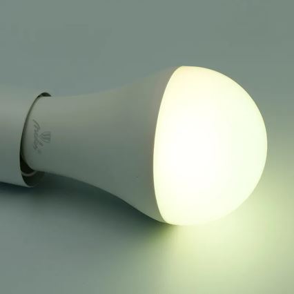LED RGBW dimbare lamp A60 E27/15W/230V 2700-6500K Wi-Fi Tuya