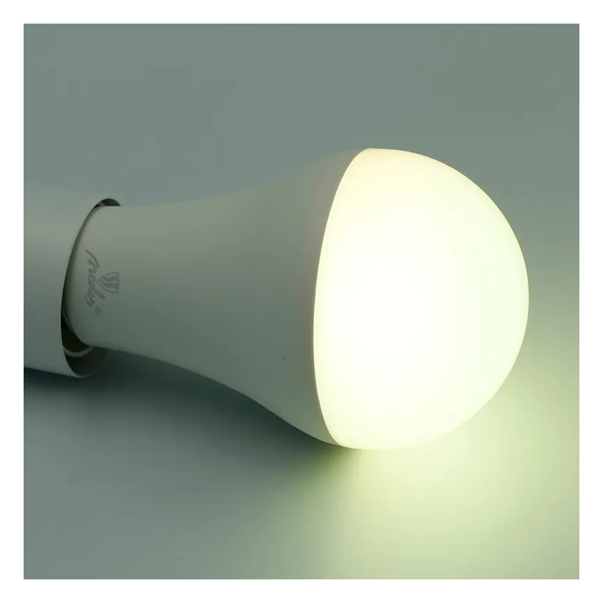 LED RGBW dimbare lamp A60 E27/15W/230V 2700-6500K Wi-Fi Tuya