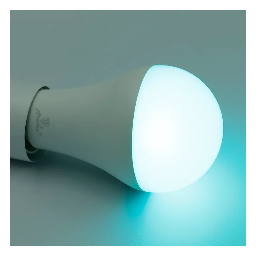 LED RGBW dimbare lamp A60 E27/15W/230V 2700-6500K Wi-Fi Tuya