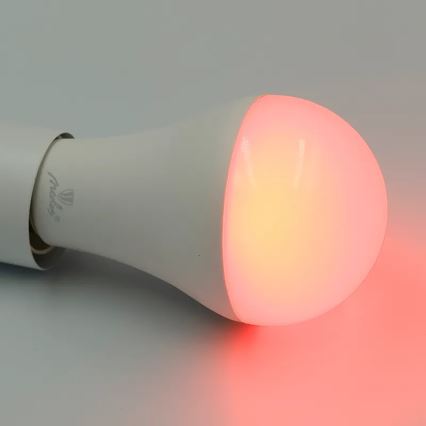 LED RGBW dimbare lamp A60 E27/15W/230V 2700-6500K Wi-Fi Tuya
