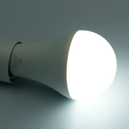 LED RGBW dimbare lamp A60 E27/15W/230V 2700-6500K Wi-Fi Tuya