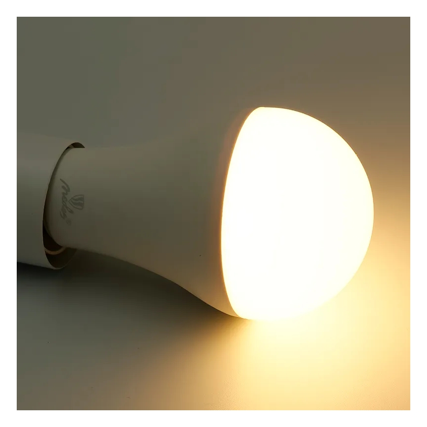 LED RGBW dimbare lamp A60 E27/15W/230V 2700-6500K Wi-Fi Tuya