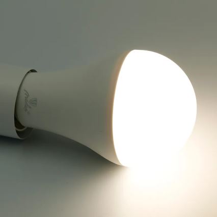 LED RGBW dimbare lamp A60 E27/15W/230V 2700-6500K Wi-Fi Tuya