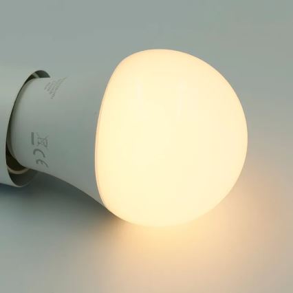 LED RGBW dimbare lamp A60 E27/9W/230V 2700-6500K Wi-Fi Tuya