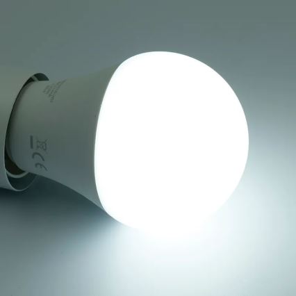 LED RGBW dimbare lamp A60 E27/9W/230V 2700-6500K Wi-Fi Tuya