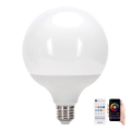 LED RGBW dimbare lamp MESH G120 E27/18W/230V 6500K + afstandsbediening - Aigostar