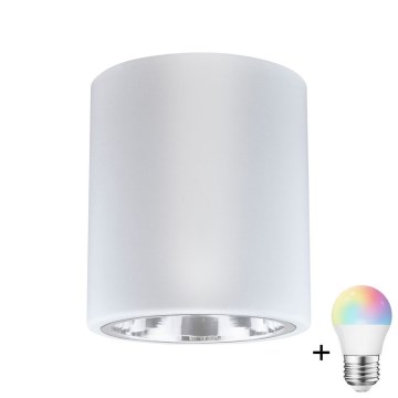 LED RGBW dimbare spot JUPITER 1xE27/6,5W/230V 2700-6500K Wi-Fi Ø 13 cm wit