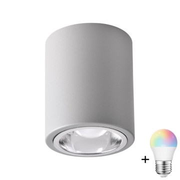 LED RGBW dimbare spot JUPITER 1xE27/6,5W/230V 2700-6500K Wi-Fi Ø 9,8 cm grijs