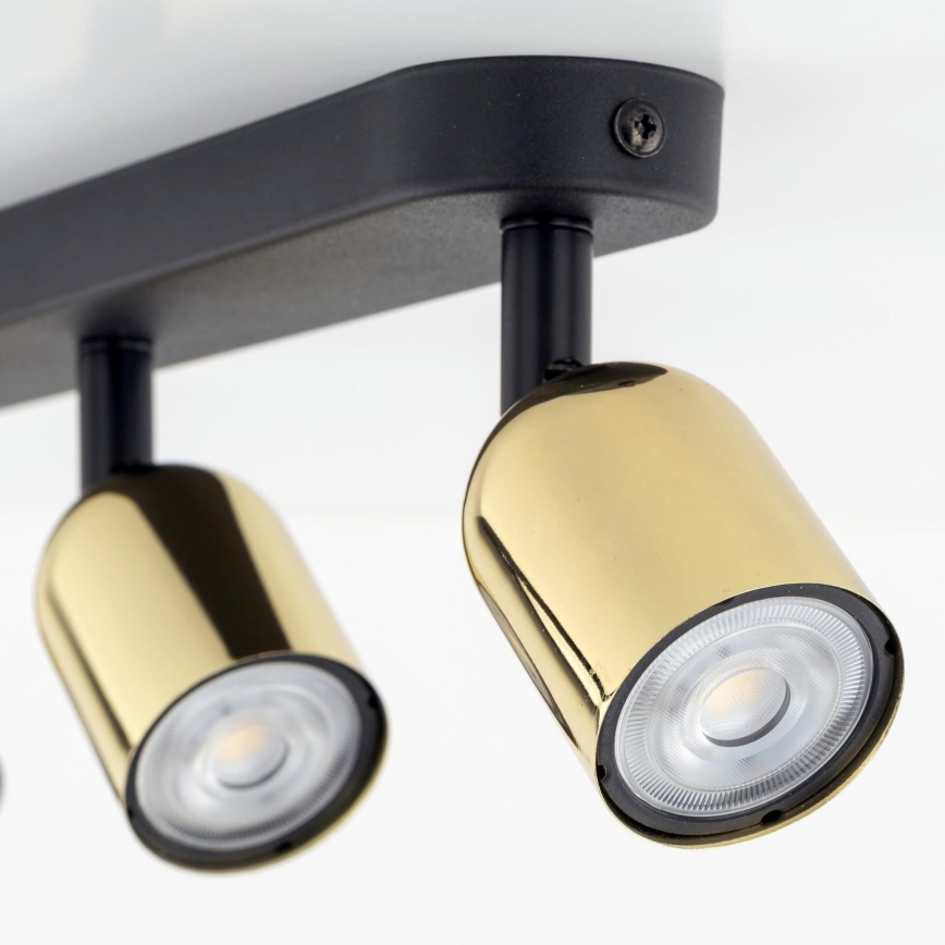 LED RGBW dimbare spot TOP 3xGU10/6,5W/230V 2700-6500K zwart/goud