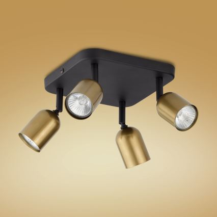 LED RGBW dimbare spot TOP 4xGU10/6,5W/230V 2700-6500K goud/zwart