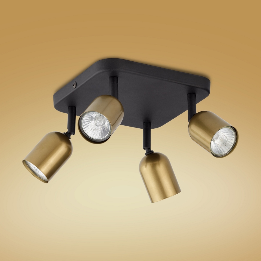 LED RGBW dimbare spot TOP 4xGU10/6,5W/230V 2700-6500K goud/zwart
