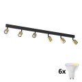 LED RGBW dimbare spot TOP 6xGU10/6,5W/230V 2700-6500K goud/zwart