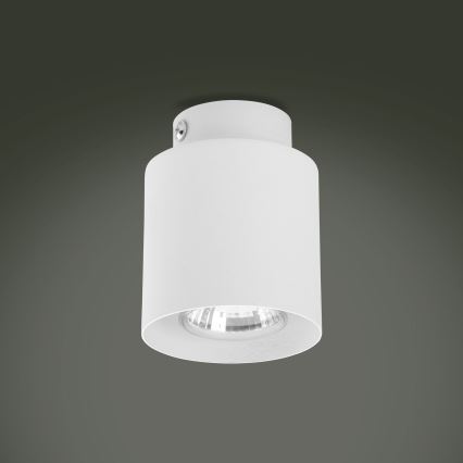 LED RGBW dimbare spot VICO WHITE 1xGU10/6,5W/230V 2700-6500K