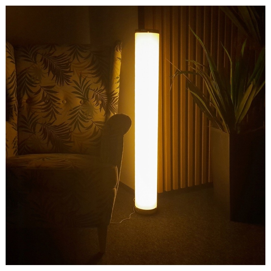 LED RGBW Dimbare staande lamp STELLA LED/12W/230V + afstandsbediening