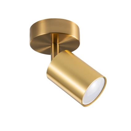 LED RGBW dimbare wandspot GOLDI 1xGU10/4,8W/230V 3000K goud + afstandsbediening