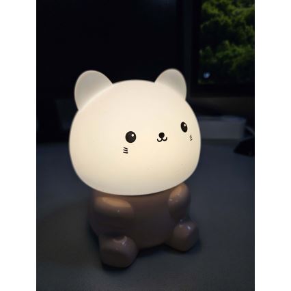 LED RGBW Kinder Touchlamp LED/1W/5V USB 1200 mAh kat