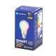 LED RGBW Lamp FILAMENT A60 E27/4,9W/230V 2700K - Aigostar