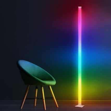 LED RGBW Dimbare staande lamp MAGICAL LED/7W/230V + afstandsbediening
