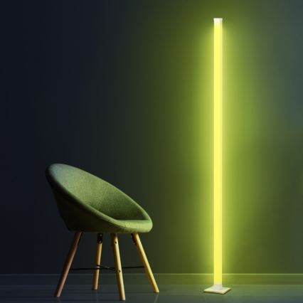 LED RGBW Dimbare Vloerlamp MAGICAL LED/7W/230V + afstandsbediening