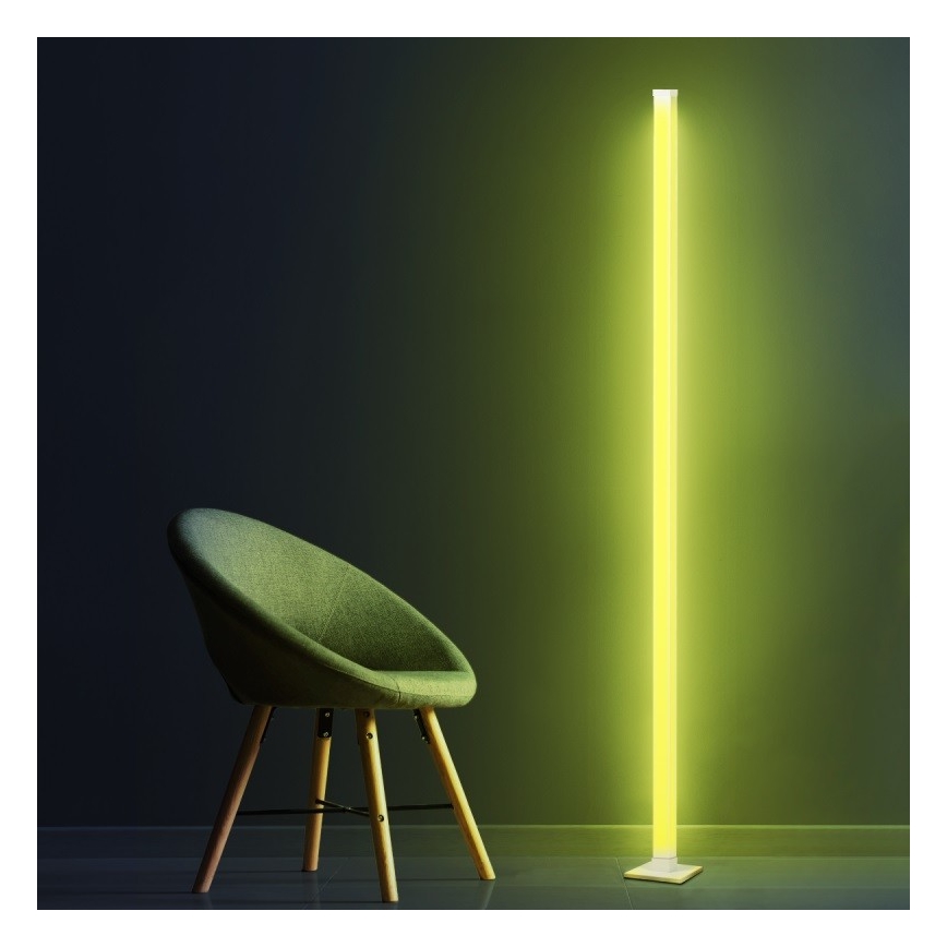 LED RGBW Dimbare Vloerlamp MAGICAL LED/7W/230V + afstandsbediening