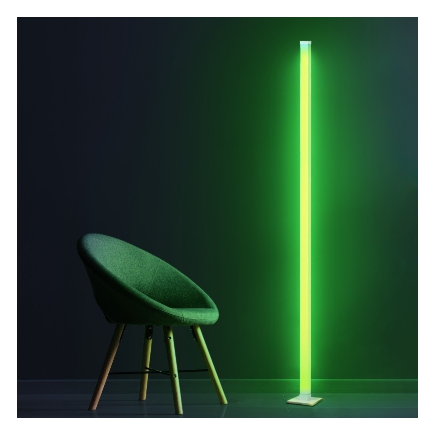 LED RGBW Dimbare Vloerlamp MAGICAL LED/7W/230V + afstandsbediening