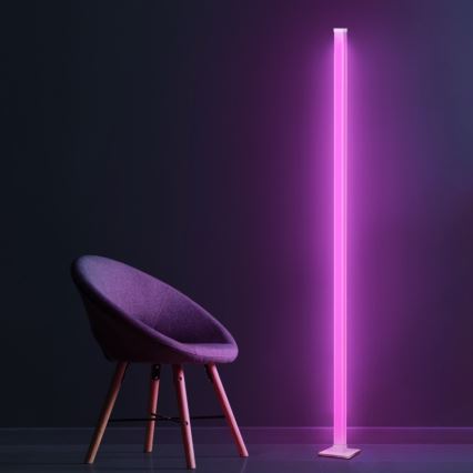 LED RGBW Dimbare Vloerlamp MAGICAL LED/7W/230V + afstandsbediening