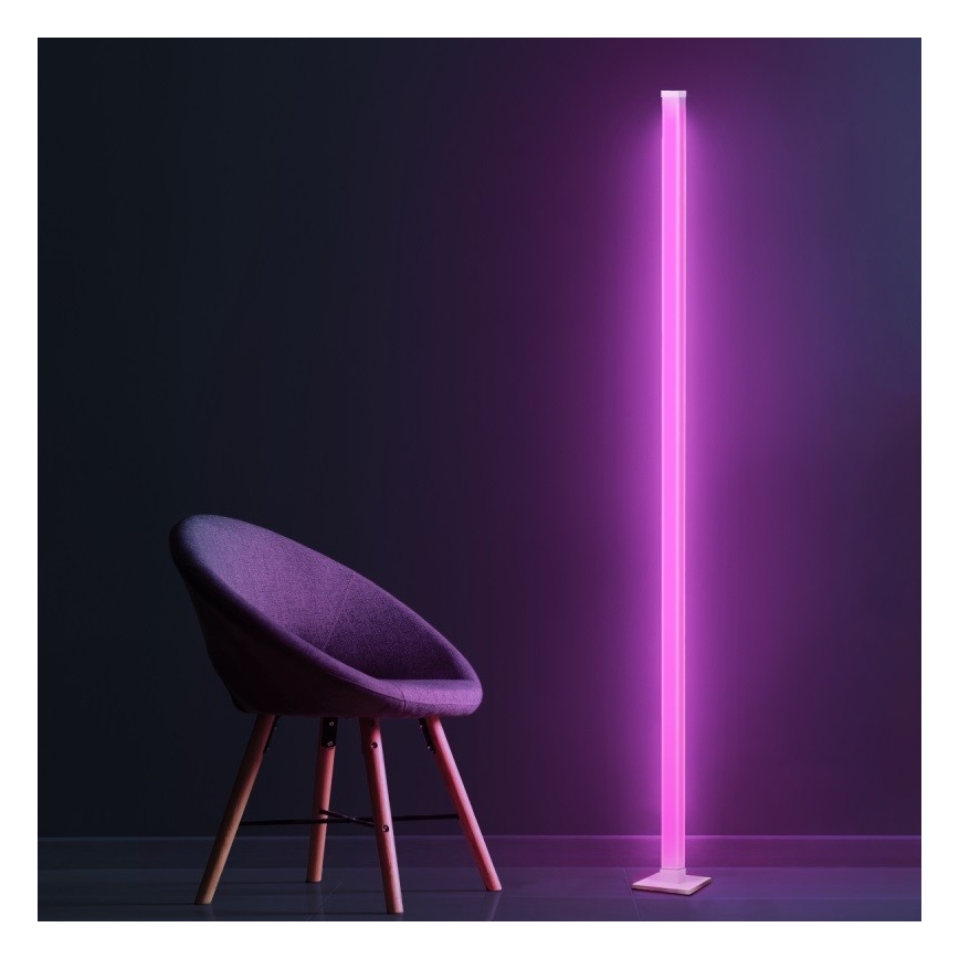 LED RGBW Dimbare Vloerlamp MAGICAL LED/7W/230V + afstandsbediening