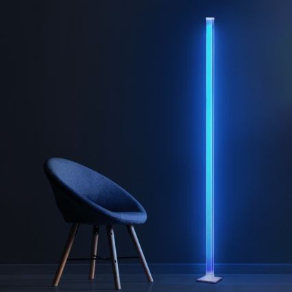 LED RGBW Dimbare Vloerlamp MAGICAL LED/7W/230V + afstandsbediening