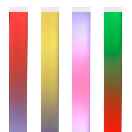 LED RGBW Dimbare Vloerlamp MAGICAL LED/7W/230V + afstandsbediening