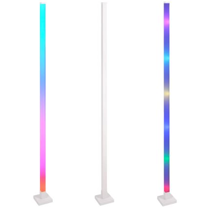 LED RGBW Dimbare Vloerlamp MAGICAL LED/7W/230V + afstandsbediening