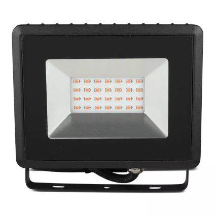 LED Schijnwerper LED/20W/230V IP65 roze lamp