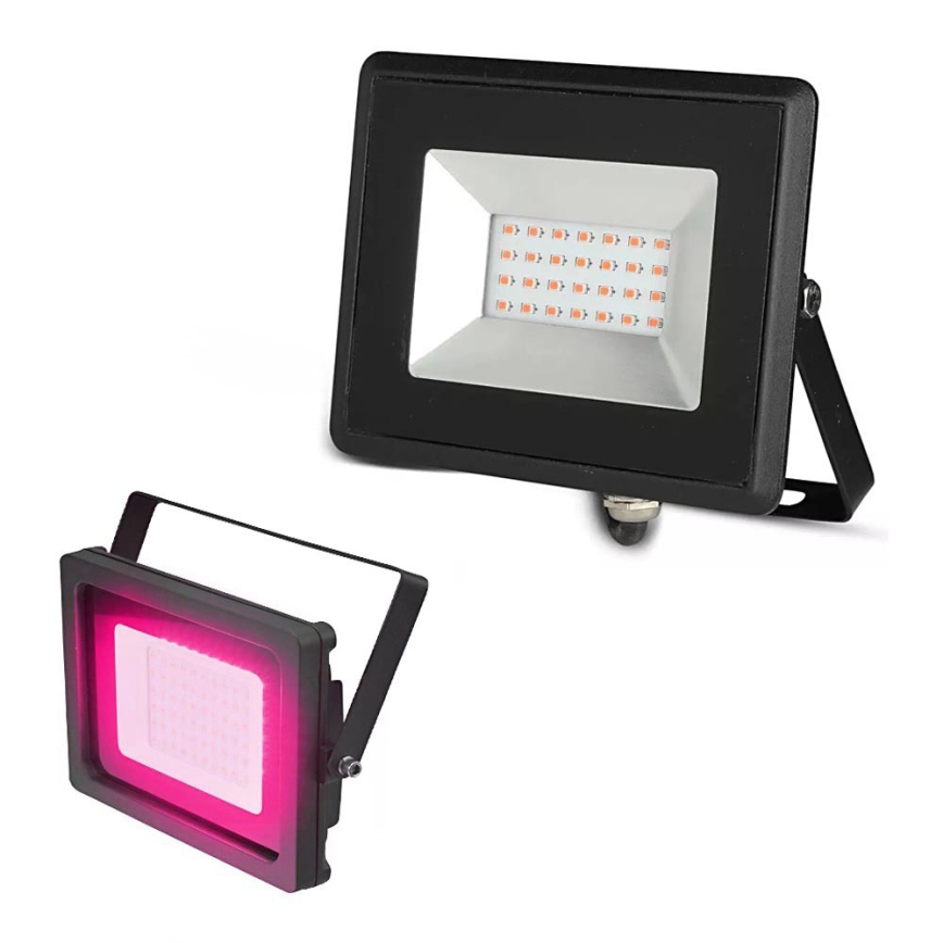 LED Schijnwerper LED/20W/230V IP65 roze lamp