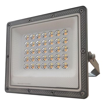 LED Schijnwerper LED/30W/230V IP65 3000/4000/6500K