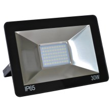LED Schijnwerper LED/30W/230V IP65