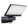 LED schijnwerper met bewegings- en schemersensor LED/44W/230V 4200K IP54 zwart
