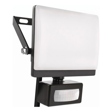LED-schijnwerper met bewegings- en schemersensor TAMBO EVO LED/20W/230V 4000K IP44 zwart