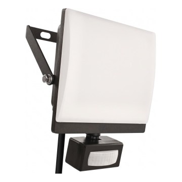 LED-schijnwerper met bewegings- en schemersensor TAMBO EVO LED/50W/230V 4000K IP44 zwart