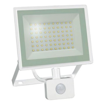 LED-schijnwerper met bewegingssensor NOCTIS LUX 3 LED/50W/230V 4000K IP44 wit