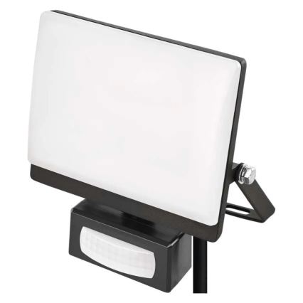 LED-schijnwerper met bewegings- en schemersensor TAMBO EVO LED/20W/230V 4000K IP44 zwart