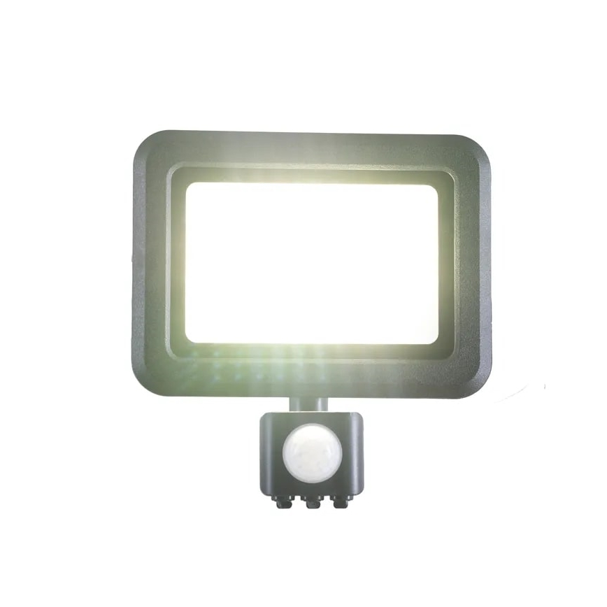 LED Schijnwerper met een sensor LED/30W/230V 4000K IP44
