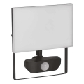 LED Schijnwerper met sensor TAMBO LED/30W/230V 4000K IP54