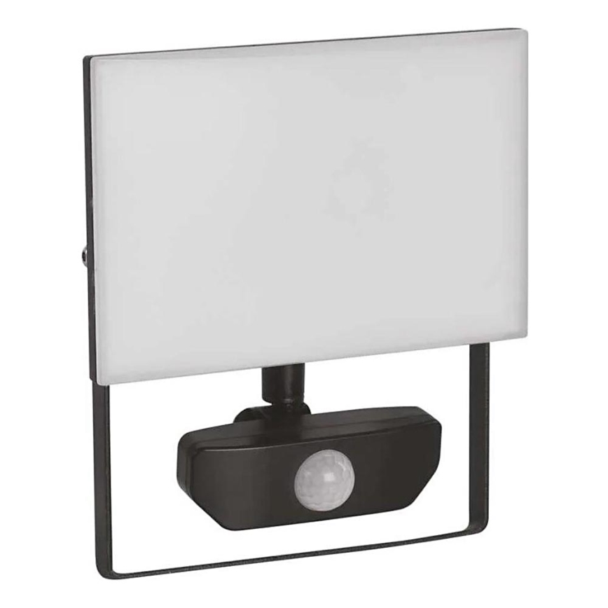 LED Schijnwerper met sensor TAMBO LED/30W/230V 4000K IP54