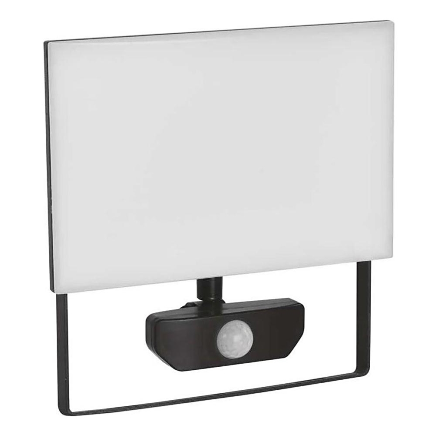 LED Schijnwerper met sensor TAMBO LED/50W/230V 4000K IP54