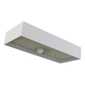 LED Schijnwerper op zonne-energie met bewegingssensor LED/3,7V 3000mAh 4000K IP65 wit