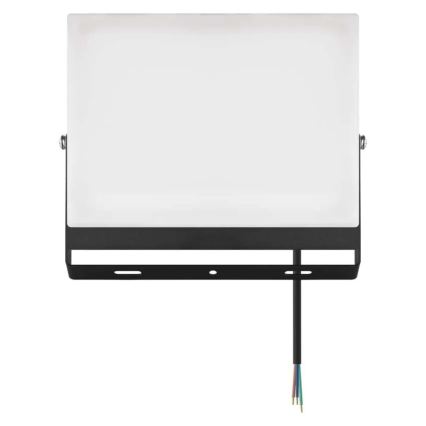 LED-schijnwerper TAMBO EVO LED/100W/230V 4000K IP65 zwart