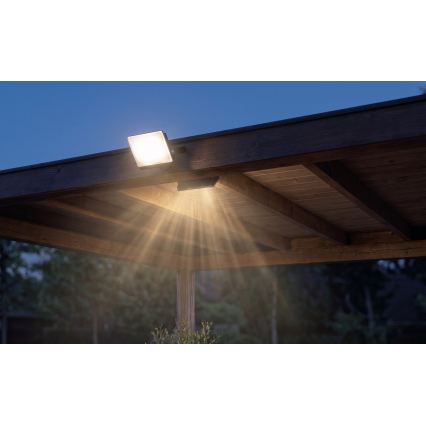 LED-schijnwerper TAMBO EVO LED/30W/230V 4000K IP65 zwart