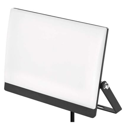LED-schijnwerper TAMBO EVO LED/50W/230V 4000K IP65 zwart